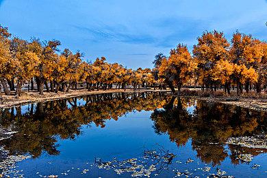 战地2042 DX错误有效解决办法 DirectX Error问题解析